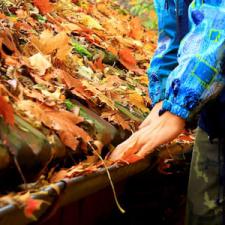 Leaf protection