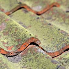 Mold mitigation